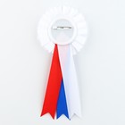 Значок - орден на Выпускной «Выпускник детского сада на книге», d = 6,7 см - фото 9066615