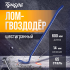 Лом-гвоздодер ТУНДРА, 65 сталь, шестигранный, 600 х 14 мм - Фото 1