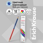 Карандаши 12 цветов 6 штук, ErichKrause, двусторонние, дерево, трехгранные, 2,6 мм грифель, картонная упаковка, европодвес 4716413 - фото 13571678