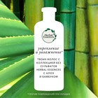 Шампунь Herbal Essences, укрепление, алоэ и бамбук, 380 мл - Фото 3