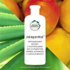 Бальзам-ополаскиватель Herbal Essences, защита цвета и блеск, алоэ и манго, 275 мл - Фото 3