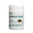 Капсулы желатиновые «Живица Плюс», комплексная очистка организма от шлаков, 90 шт. - Фото 1