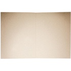 Папка-обложка Calligrata «Дело», 300 г/м² Герб России, картон немелованный, до 200 л, белая - Фото 3