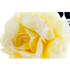 цветы искусственные 70 см d-15 cм роза бело-желтая - Фото 2