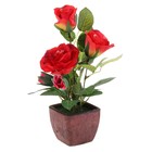 композиция яркость 27 см роза волна - Фото 1