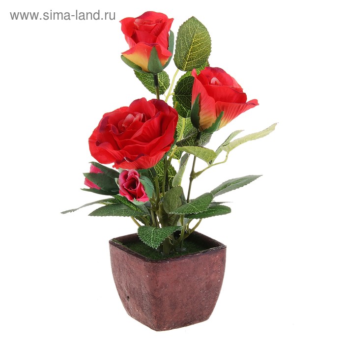 композиция яркость 27 см роза волна - Фото 1