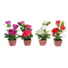 композиция яркость 27 см роза волна - Фото 2