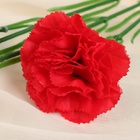 Цветы искусственные «Куст гвоздики», h=70 см, d=7 см, МИКС - Фото 3