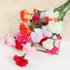 Цветы искусственные «Куст гвоздики», h=70 см, d=7 см, МИКС - Фото 4