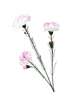 Цветы искусственные «Куст гвоздики», h=70 см, d=7 см, МИКС - Фото 7