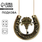 Подкова металл «На удачу с новосельем», 7×7 см - Фото 1