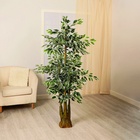 Дерево искусственное «Лист с белой каемкой», h=160 см - Фото 2