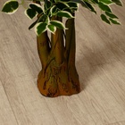 Дерево искусственное «Лист с белой каемкой», h=160 см - Фото 4