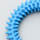 Игрушка жевательная зубочистка "Бесконечное удовольствие", TPR, 11 см, микс цветов - Фото 3