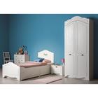 Шкаф 2х ств Роуз 13.195, 1000х509х2353, Белый/Ясень ваниль - фото 120397581