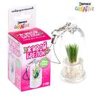 Набор для опыта «Живой брелок», мини-сад, выращивание травы - Фото 1