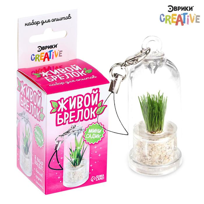 Набор для опыта «Живой брелок», мини-сад, выращивание травы - Фото 1