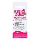 Набор для опыта «Живой брелок», мини-сад, выращивание травы - Фото 2