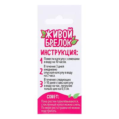 Набор для опыта «Живой брелок», мини-сад, выращивание травы