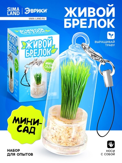 Набор для опыта «Живой брелок», мини-сад, выращивание травы