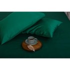 Наволочка Этель 50*70 см, цв.изумрудный, 100% хлопок, мако-сатин, 125 г/м² - фото 805810134