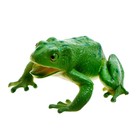 Набор животных «Болото», 7 фигурок - фото 24409695