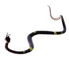 Набор животных «Болото», 7 фигурок - фото 24409700