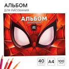 Альбом для рисования А4, 40 листов 100 г/м², на скрепке, Человек-паук - фото 108479700