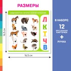 Обучающая игрушка «Буквы и цифры», звук, свет - Фото 2