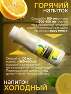 Концентрат RiCHEZA «Лимон-Имбирь», 1000 г - Фото 1