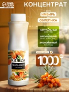 Концентрат RiCHEZA «Облепиха-Имбирь», 1000 г - Фото 1