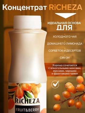 Концентрат RiCHEZA «Облепиха-Имбирь», 1000 г