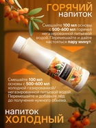 Концентрат RiCHEZA «Облепиха-Имбирь», 1000 г - Фото 3