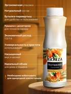 Концентрат RiCHEZA «Облепиха-Имбирь», 1000 г - Фото 4