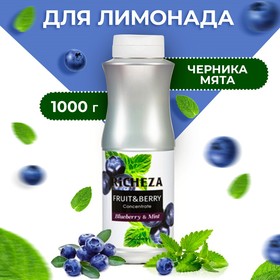 Концентрат RiCHEZA «Черника - Мята», 1000 г 6626125