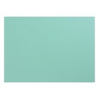 Картон цветной тонированный А2, 200 г/м², зелёный - фото 9189603