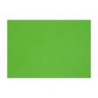 Картон цветной тонированный А3, 200 г/м2, зелёный - фото 9189613