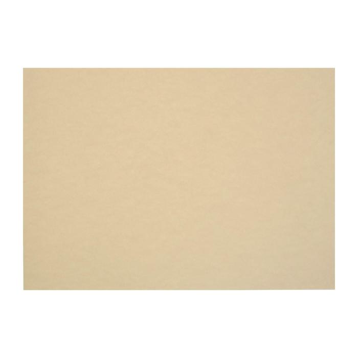 Бумага для рисования А3, 50 листов, тиснение "лён", 200 г/м², цвет палевый - Фото 1