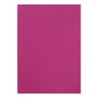 Бумага для пастели А3, 10 листов "Фуксия", 200 г/м², розовая, в папке - фото 9096469