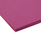 Бумага для пастели А3, 10 листов "Фуксия", 200 г/м², розовая, в папке - фото 9096471