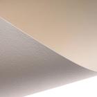 Бумага для акварели А4, 50 листов, 300 г/м², цвет молочный - фото 21832032