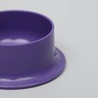 Миска для грызунов 60 мл,  фиолетовый - Фото 3