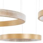 Светильник с ПДУ 88022/3 LED 81Вт 3000-6000К диммер золото 100х76х4-104 см BayerLux 4941117 Светильник с ПДУ 88022/3 LED 81Вт 3000-6000К диммер золото 100х76х4-104 см BayerLux 4941117