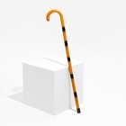 Трость сувенирная 93 см «Тигр», светлая, дерево - Фото 1