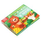 Книжки-панорамки 3D набор «Животные леса и зоопарка» 2 шт по 12 стр. - фото 8586945
