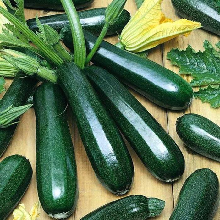 Кабачок цуккини Черный красавец Аэлита - купить в Великом Новгороде: цены, харак