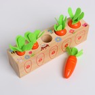 Развивающий набор «Посади разные морковки» 20 × 5,5 × 5 см - фото 4948119
