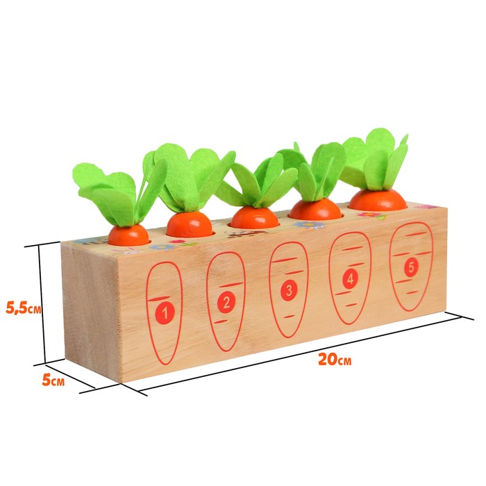 Развивающий набор «Посади разные морковки» 20 × 5,5 × 5 см - фото 1899879565