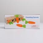 Развивающий набор «Посади разные морковки» 20 × 5,5 × 5 см - фото 7766736