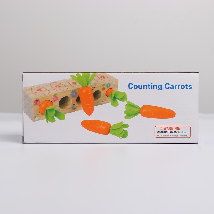 Развивающий набор «Посади разные морковки» 20 × 5,5 × 5 см - фото 1899879567